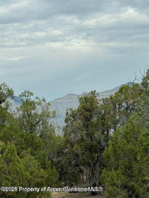 2285 Housetop Mountain Road Parachute, CO 81635 - Photo 5 of 7 2285 6