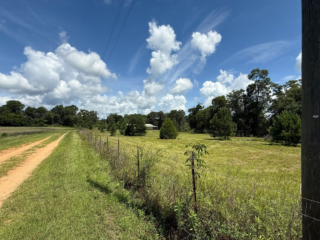 245 County Road 422 Abbeville, AL 36310 - Photo 27 of 39