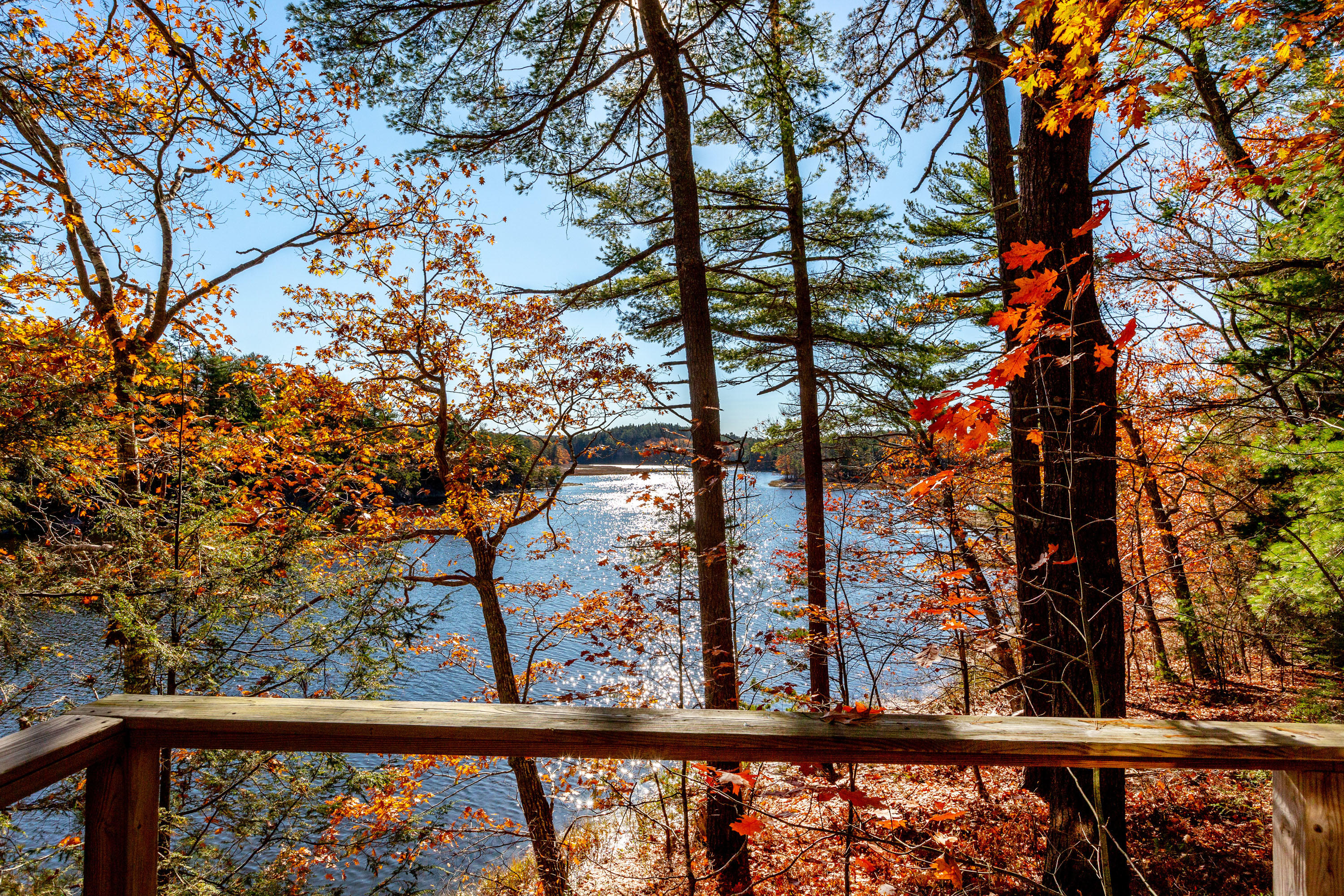 67 Indian Rest Road Bath, ME 04530 - Photo 46 of 66 Indian Rest_Ollier_47
