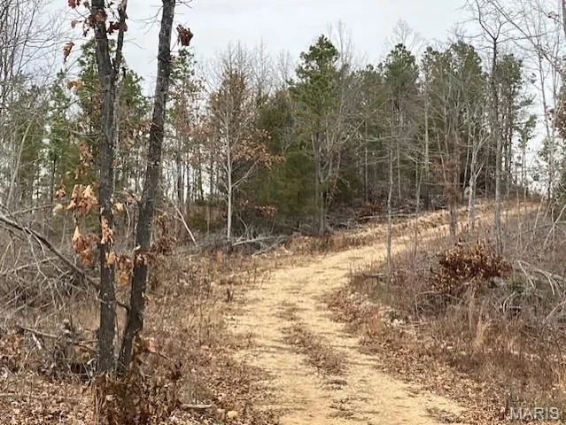 $72,995 | 186 Madison Cr, Fredericktown, MO 63645