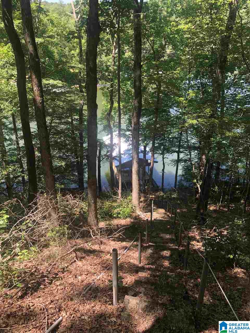 17 County Road 656 Clanton, AL 35046 - Photo 4 of 21