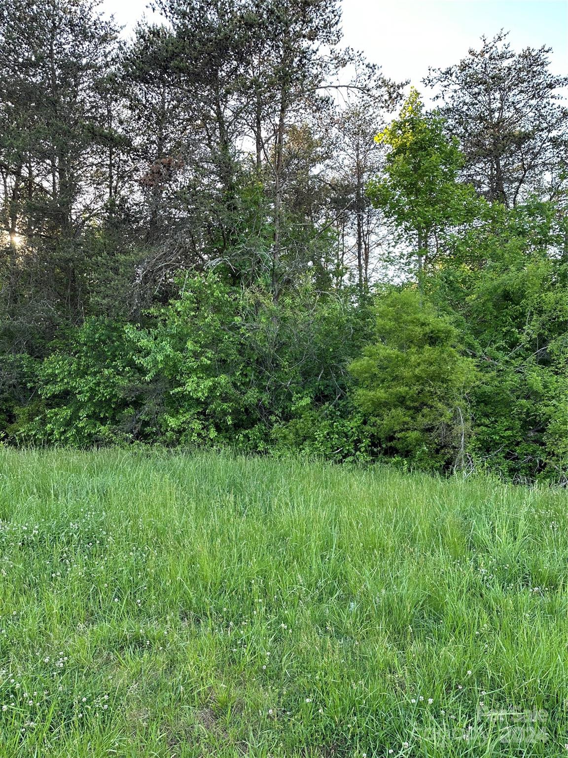 0 Maiden Salem Road, Unit LOT 2 Maiden, NC 28650 - Photo 1 of 2 Gallery Image 1