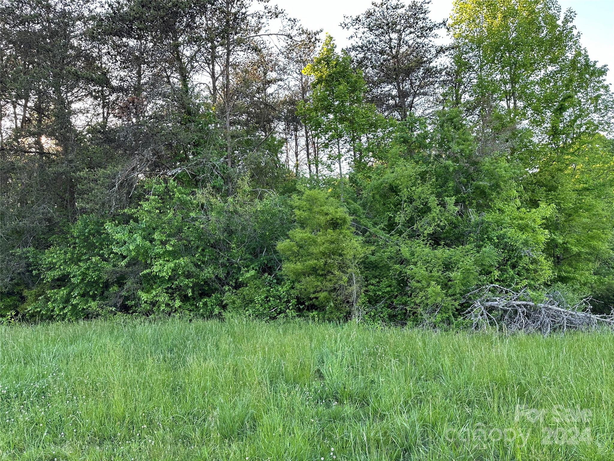 0 Maiden Salem Road, Unit LOT 2 Maiden, NC 28650 - Photo 2 of 2 Gallery Image 2