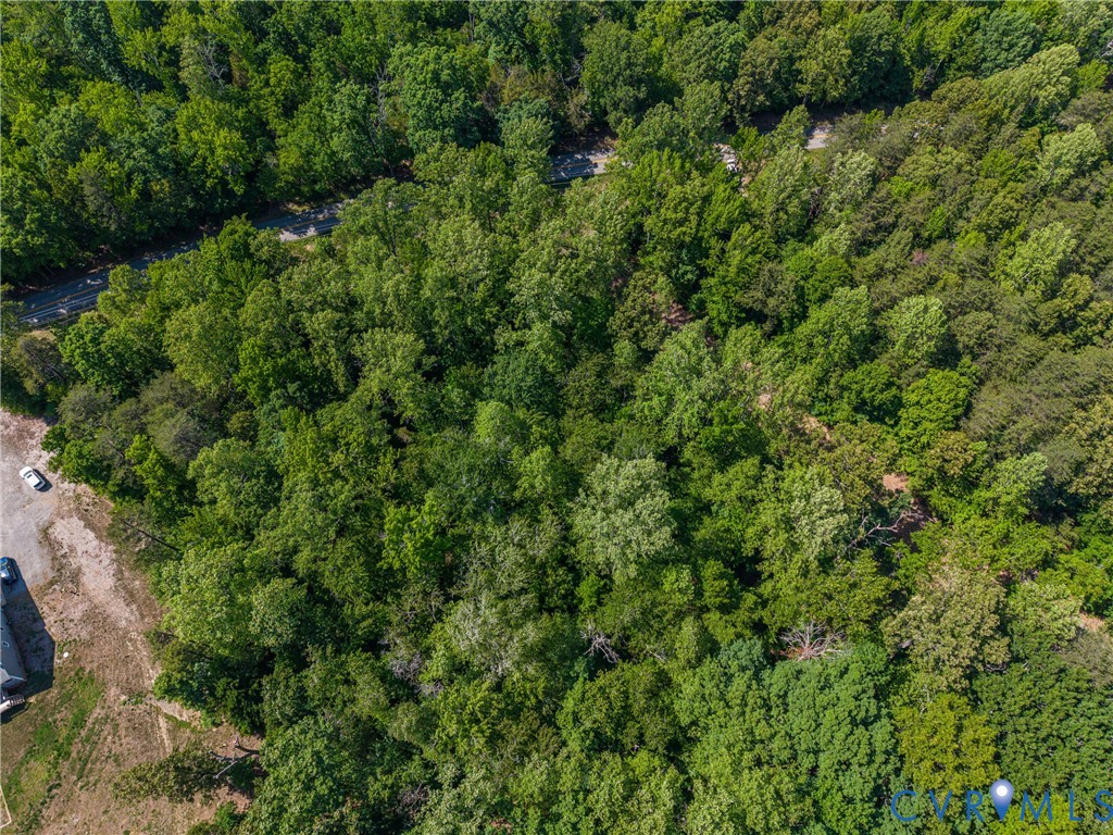 0 Shannon Hill Road Kents Store, VA 23084 - Photo 4 of 7