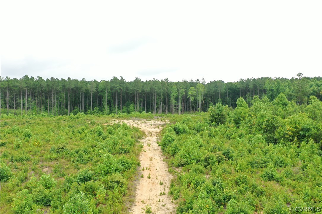 5 Cox Road Wilsons, VA 23894 - Photo 23 of 33