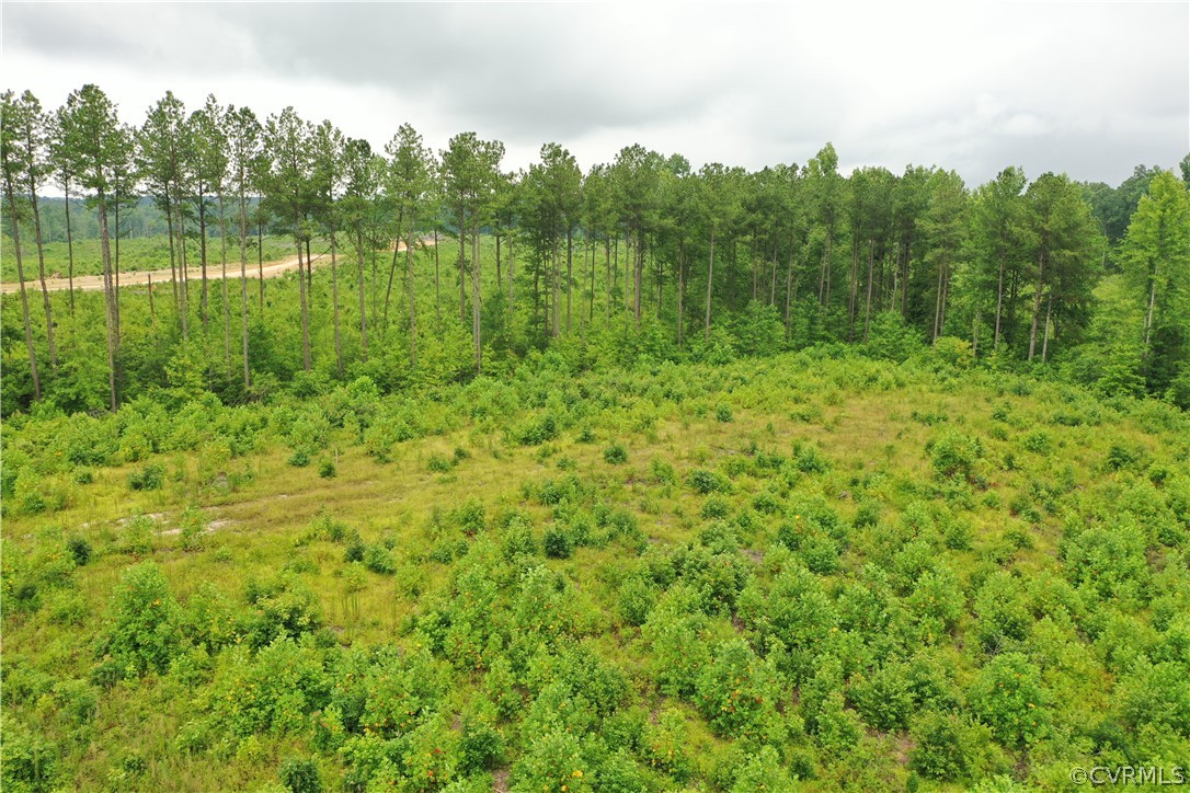 5 Cox Road Wilsons, VA 23894 - Photo 27 of 33