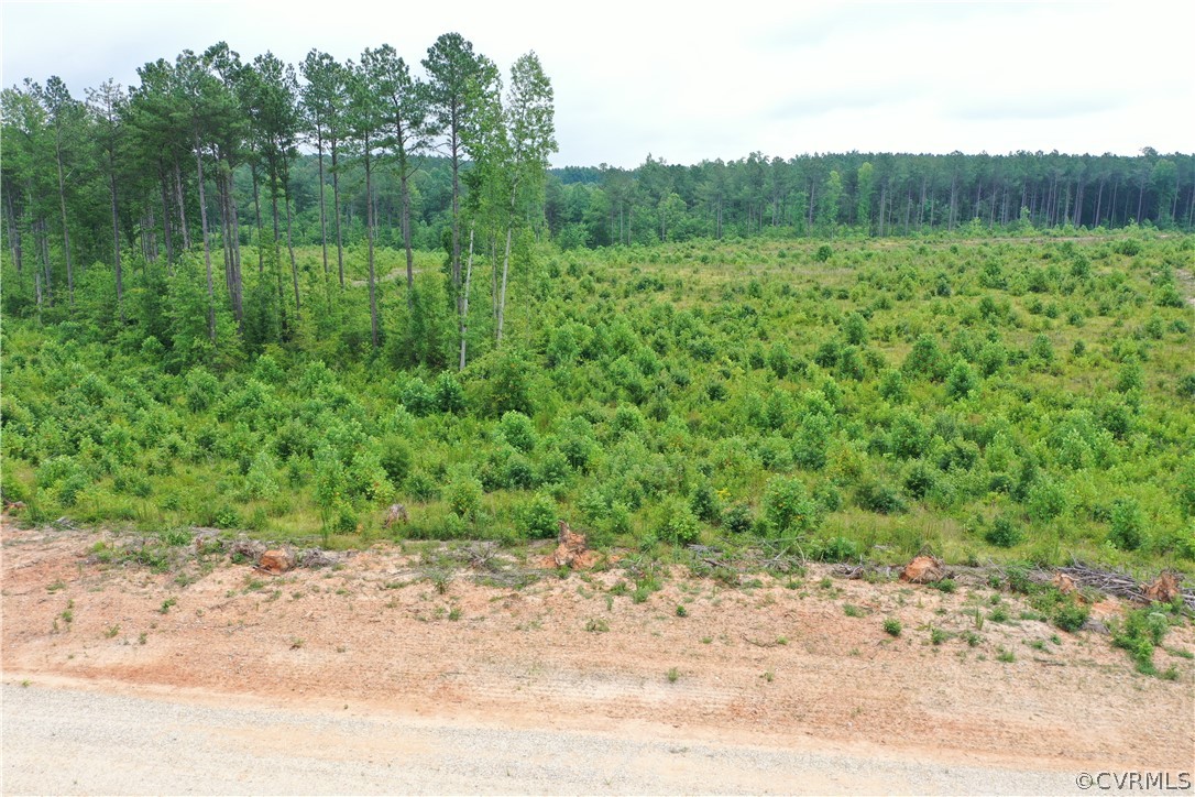 5 Cox Road Wilsons, VA 23894 - Photo 31 of 33