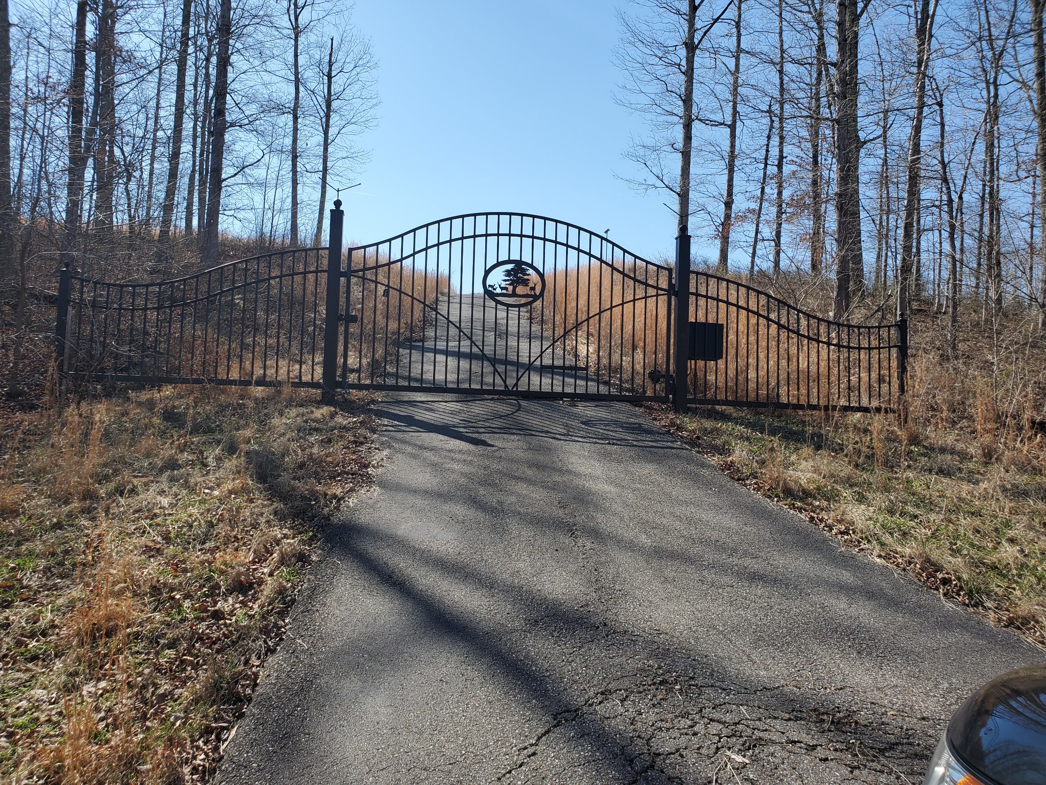 a view of a gate with a gate