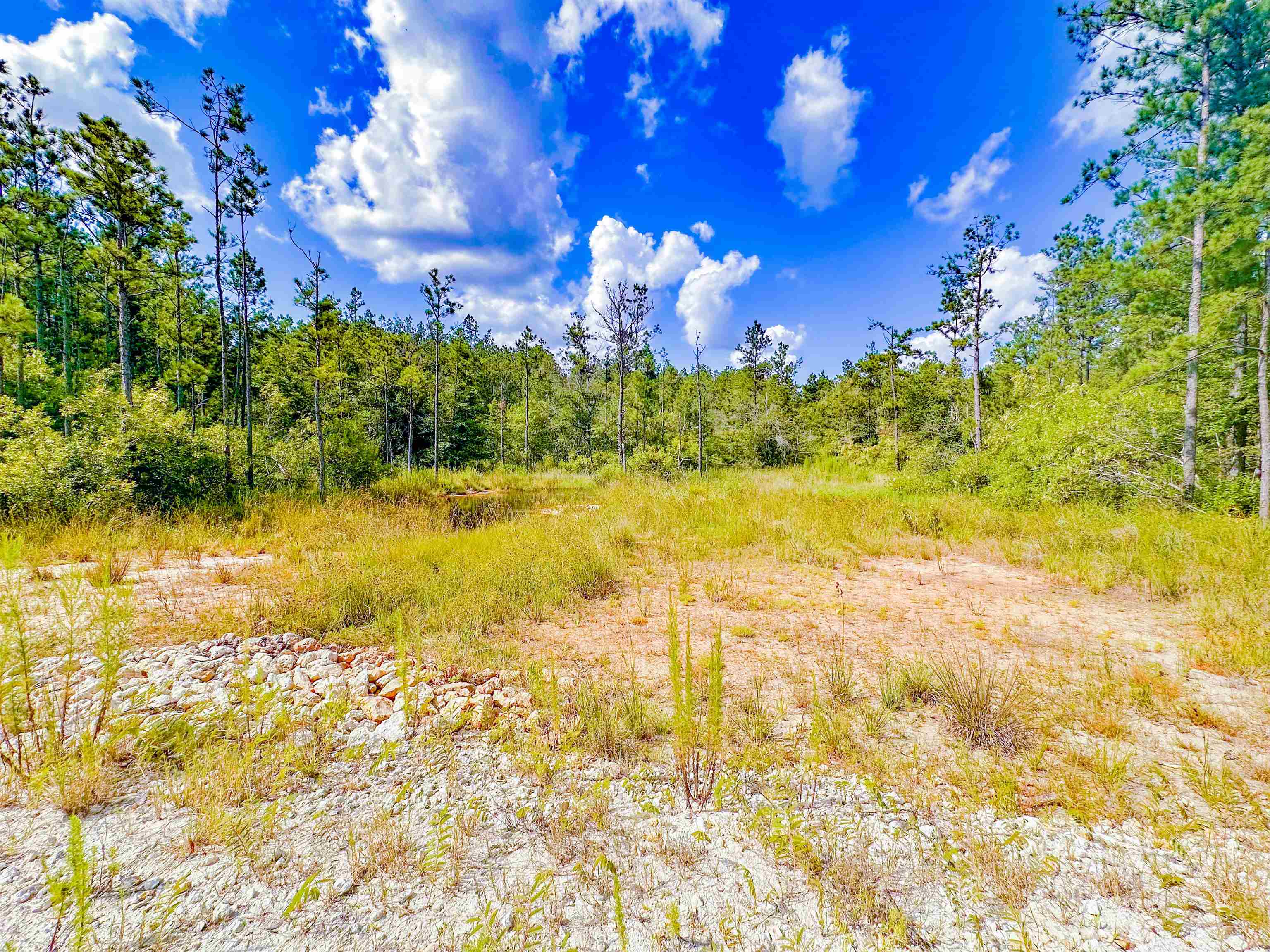 9010 Carter Ranch Road Kountze, TX 77625 - Photo 7 of 8