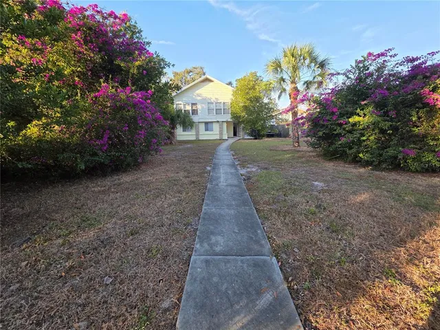 a view of a pathway covered with flower plants