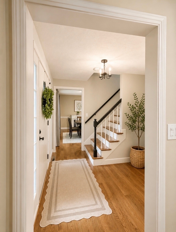 135 Lawndale Road Mansfield, MA 02048 - Photo 19 of 42 Gallery Image 19