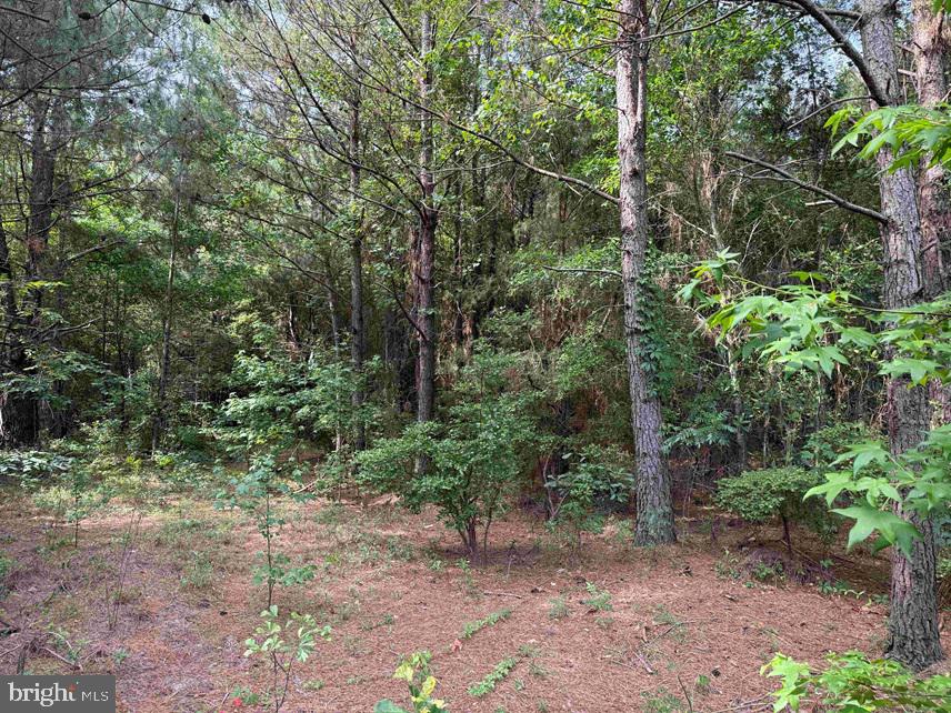 Sarecta Road Kenansville, NC 28349 - Photo 16 of 28