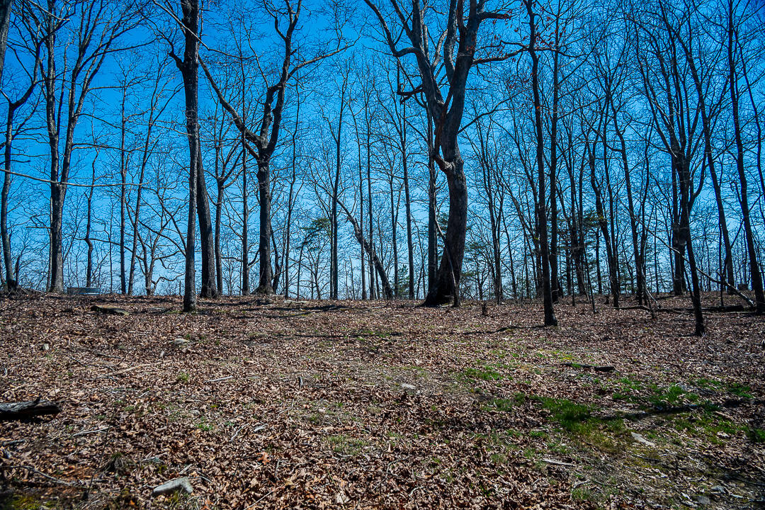 9045 Highway 157 Rising Fawn, GA 30738 - Photo 11 of 16 GP Brow Lot-11