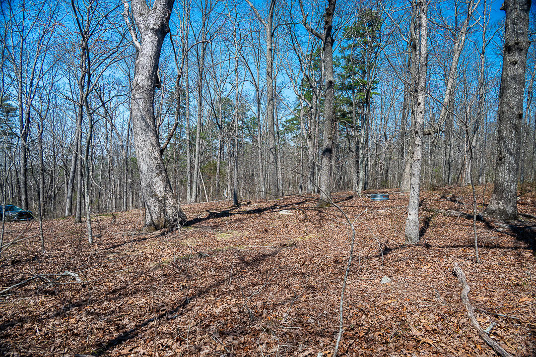 9045 Highway 157 Rising Fawn, GA 30738 - Photo 12 of 16 GP Brow Lot-9