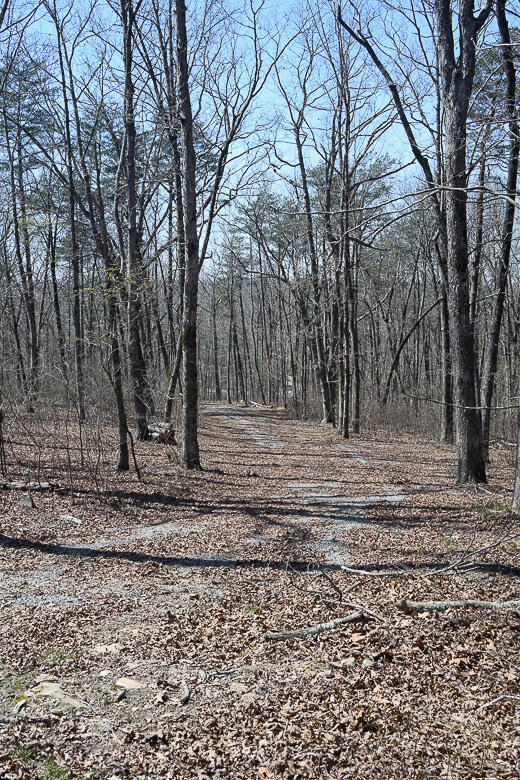 9045 Highway 157 Rising Fawn, GA 30738 - Photo 15 of 16 GP Brow Lot-13