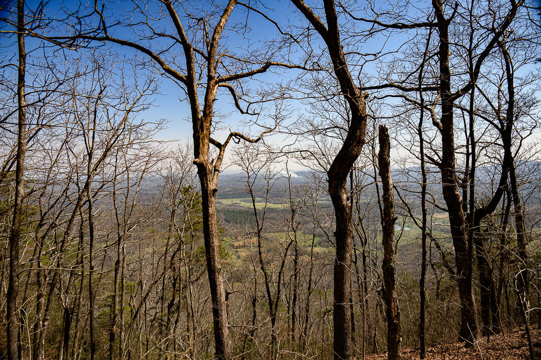9045 Highway 157 Rising Fawn, GA 30738 - Photo 2 of 16 GP Brow Lot-5