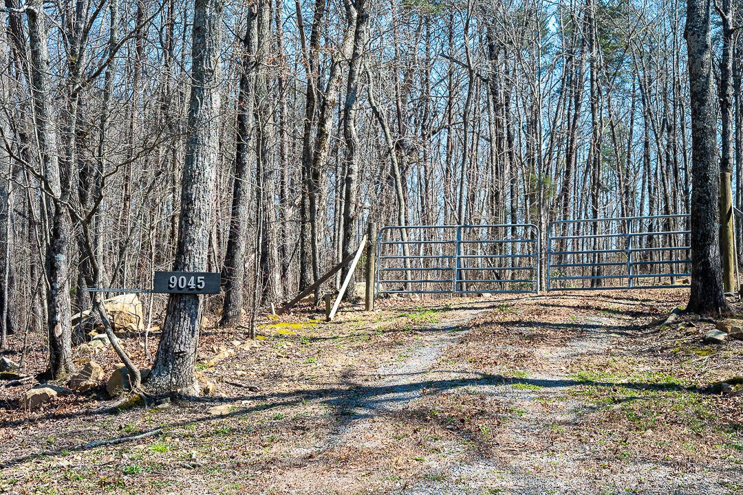 9045 Highway 157 Rising Fawn, GA 30738 - Photo 4 of 16 GP Brow Lot-14