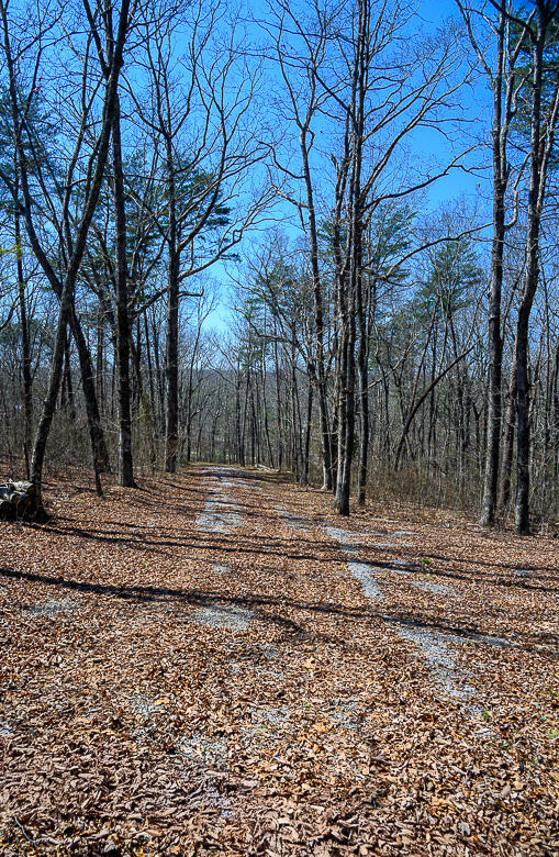 9045 Highway 157 Rising Fawn, GA 30738 - Photo 5 of 16 GP Brow Lot-2