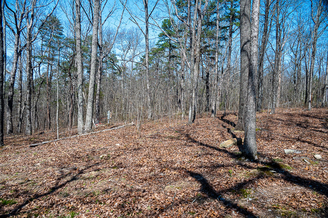 9045 Highway 157 Rising Fawn, GA 30738 - Photo 8 of 16 GP Brow Lot-4