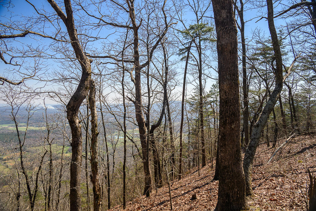 9045 Highway 157 Rising Fawn, GA 30738 - Photo 9 of 16 GP Brow Lot-6