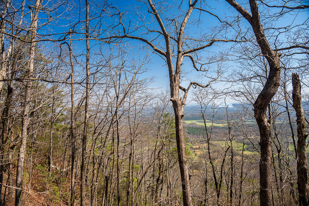 9045 Highway 157 Rising Fawn, GA 30738 - Photo 10 of 16 GP Brow Lot-7