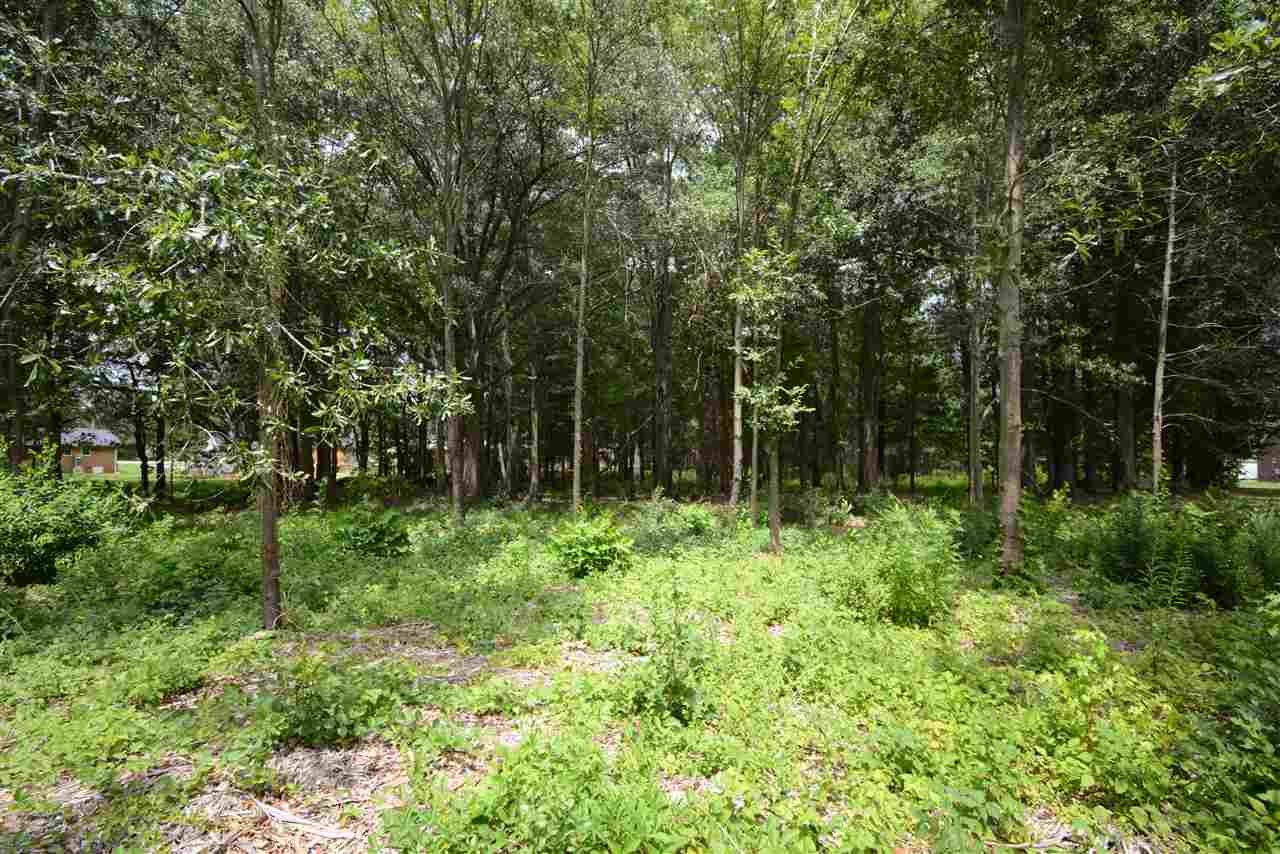 222 W Road Greer, SC 29650 - Photo 3 of 12 Gallery Image 3