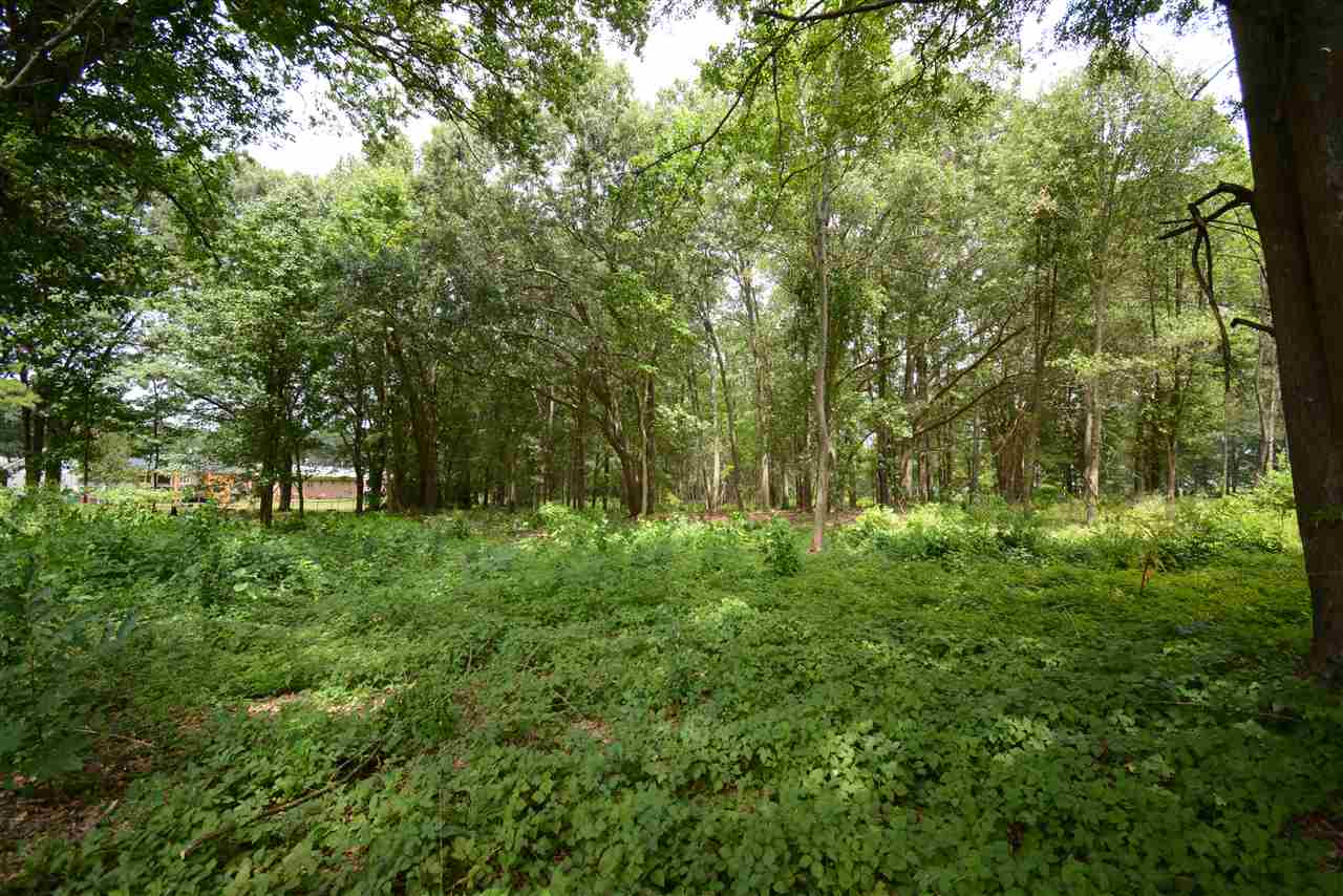 222 W Road Greer, SC 29650 - Photo 10 of 12 Gallery Image 10