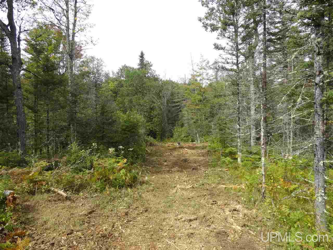 20-acres Foster City Road Foster City, MI 49834 - Photo 22 of 36 Gallery Image 22