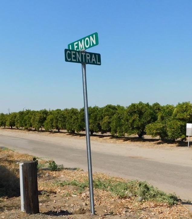 4084 South Lemon Avenue Reedley, CA 93654 - Photo 2 of 35 Gallery Image 2