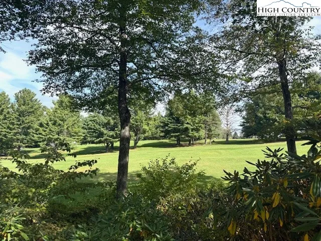a big yard with lots of green space and deers