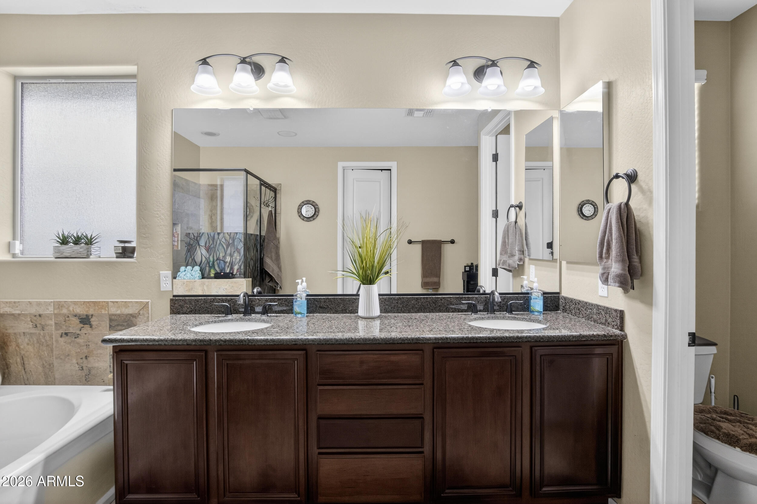 20910 West Thomas Road Buckeye, AZ 85396 - Photo 45 of 64 45_067_a4m_bc