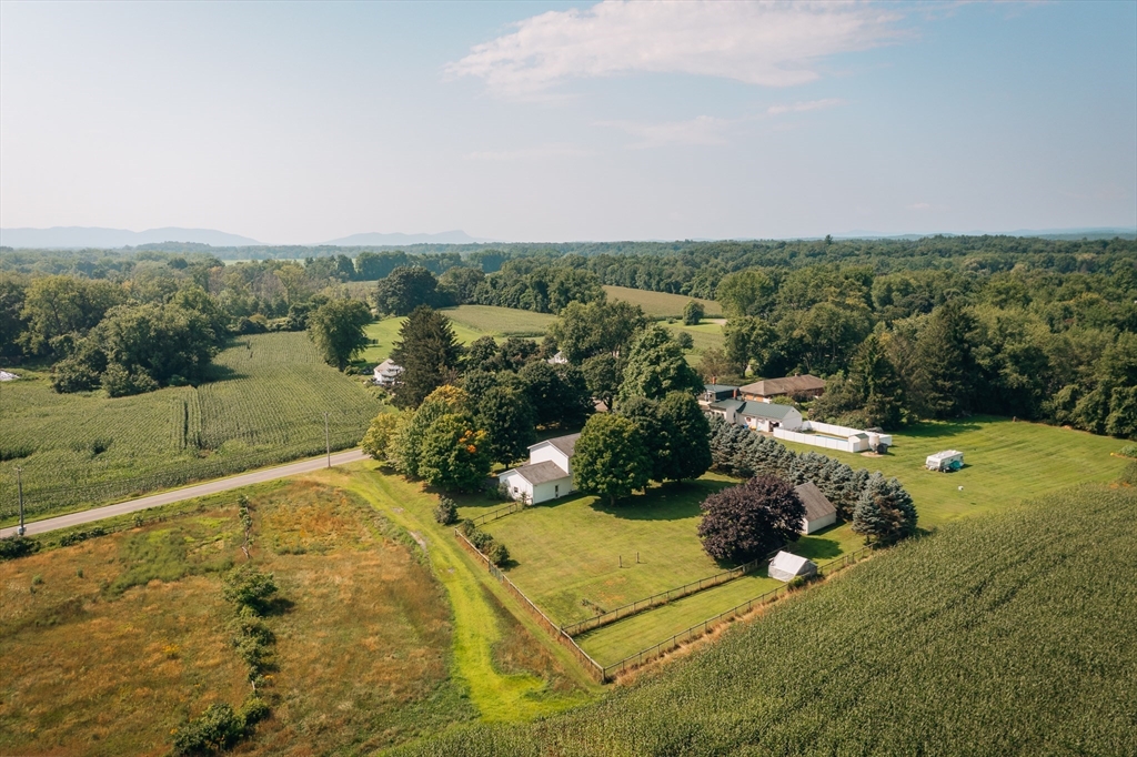 36 Depot Road Hatfield, MA 01038 - Photo 9 of 39 a view of a big yard with potted plants and large tree