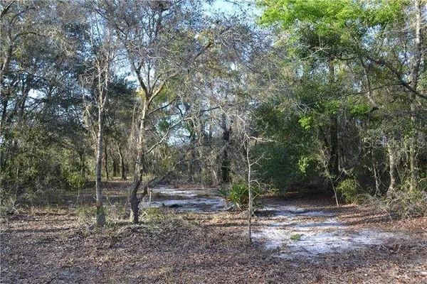 $19,000 | Grandville, Hudson, FL 34669