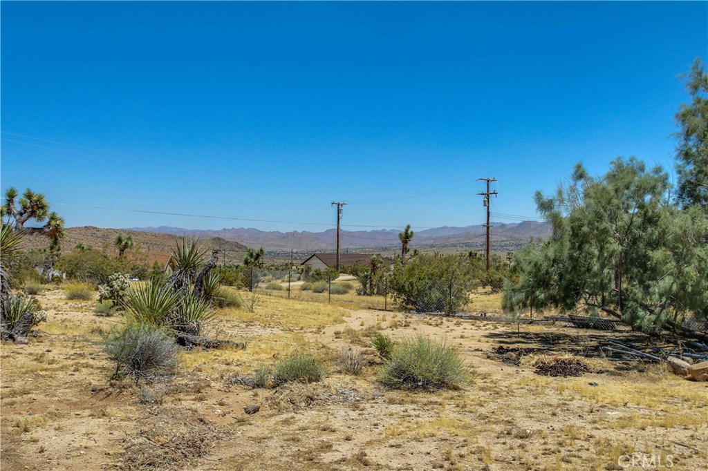 5407 Paradise View Road Yucca Valley, CA 92284 - Photo 33 of 63 a view of a beach with a palm tree in the background