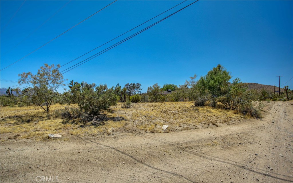 5407 Paradise View Road Yucca Valley, CA 92284 - Photo 36 of 63 a view of a dry yard with trees