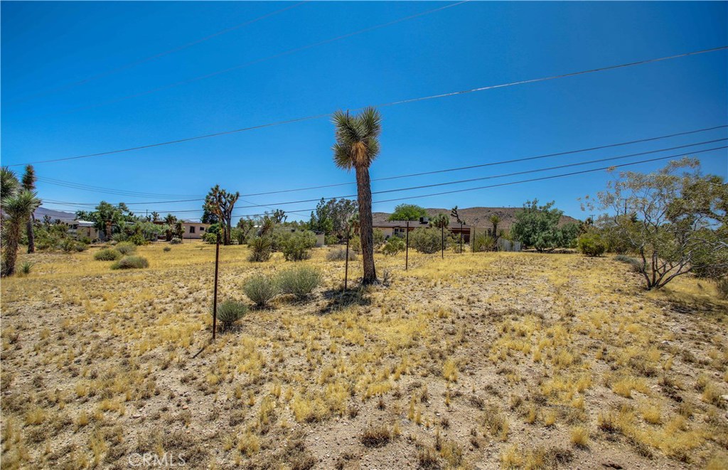 5407 Paradise View Road Yucca Valley, CA 92284 - Photo 37 of 63 a view of a yard with an empty space