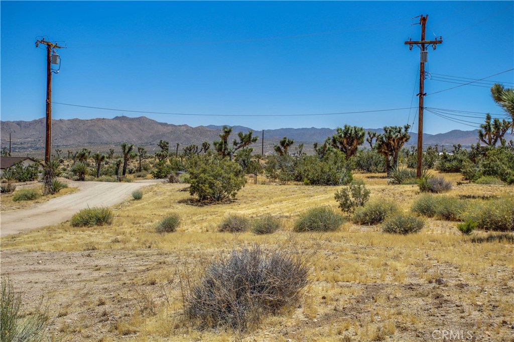 5407 Paradise View Road Yucca Valley, CA 92284 - Photo 38 of 63 a view of a yard with a tree