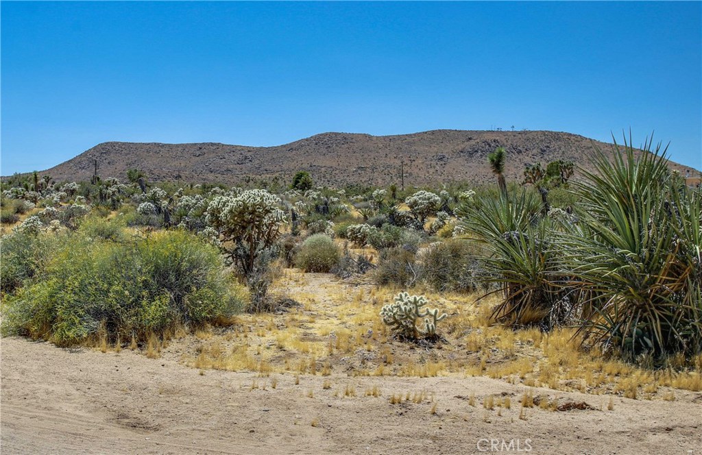 5407 Paradise View Road Yucca Valley, CA 92284 - Photo 49 of 63 a view of a mountain