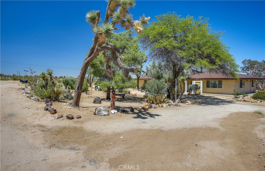5407 Paradise View Road Yucca Valley, CA 92284 - Photo 6 of 63 a row of palm trees in front of a house