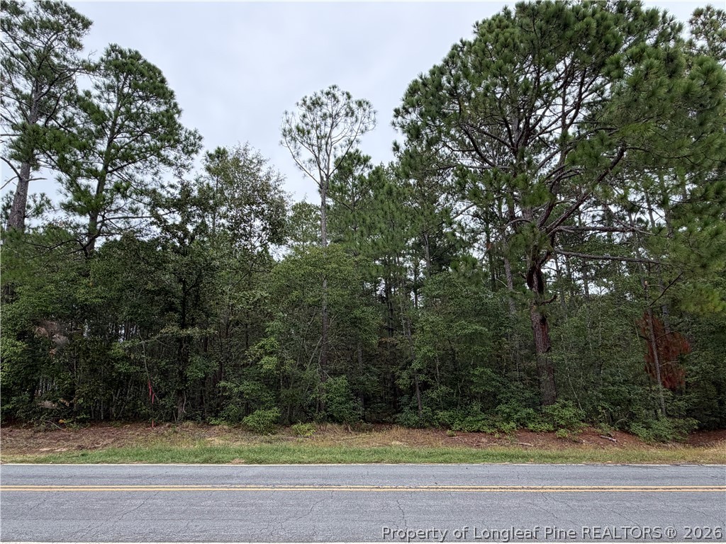7 A Mumford Road Raeford, NC 28376 - Photo 4 of 5 Gallery Image 4