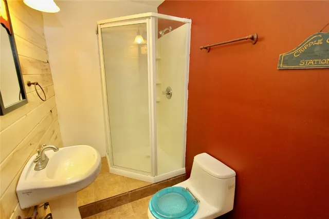 a bathroom with a sink toilet and shower