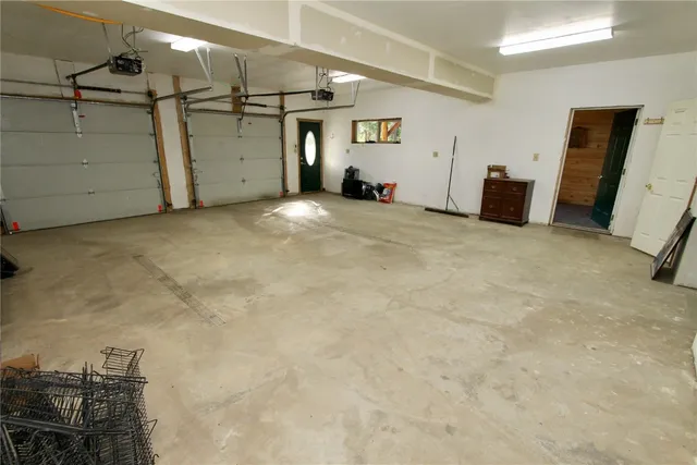 a view of a forest with a tree