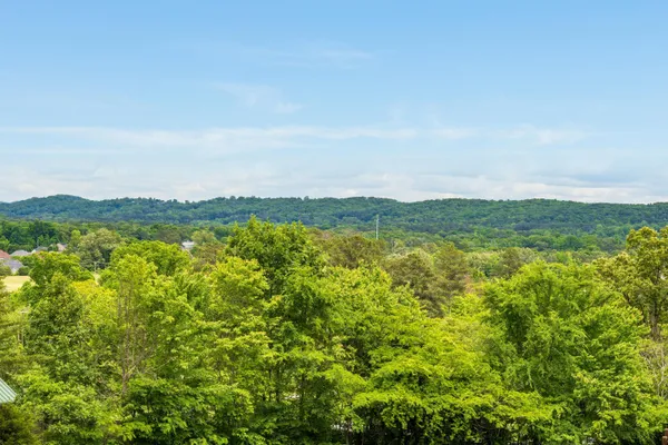 $759,000 | 114 Monroe Drive, Ringgold, GA 30736