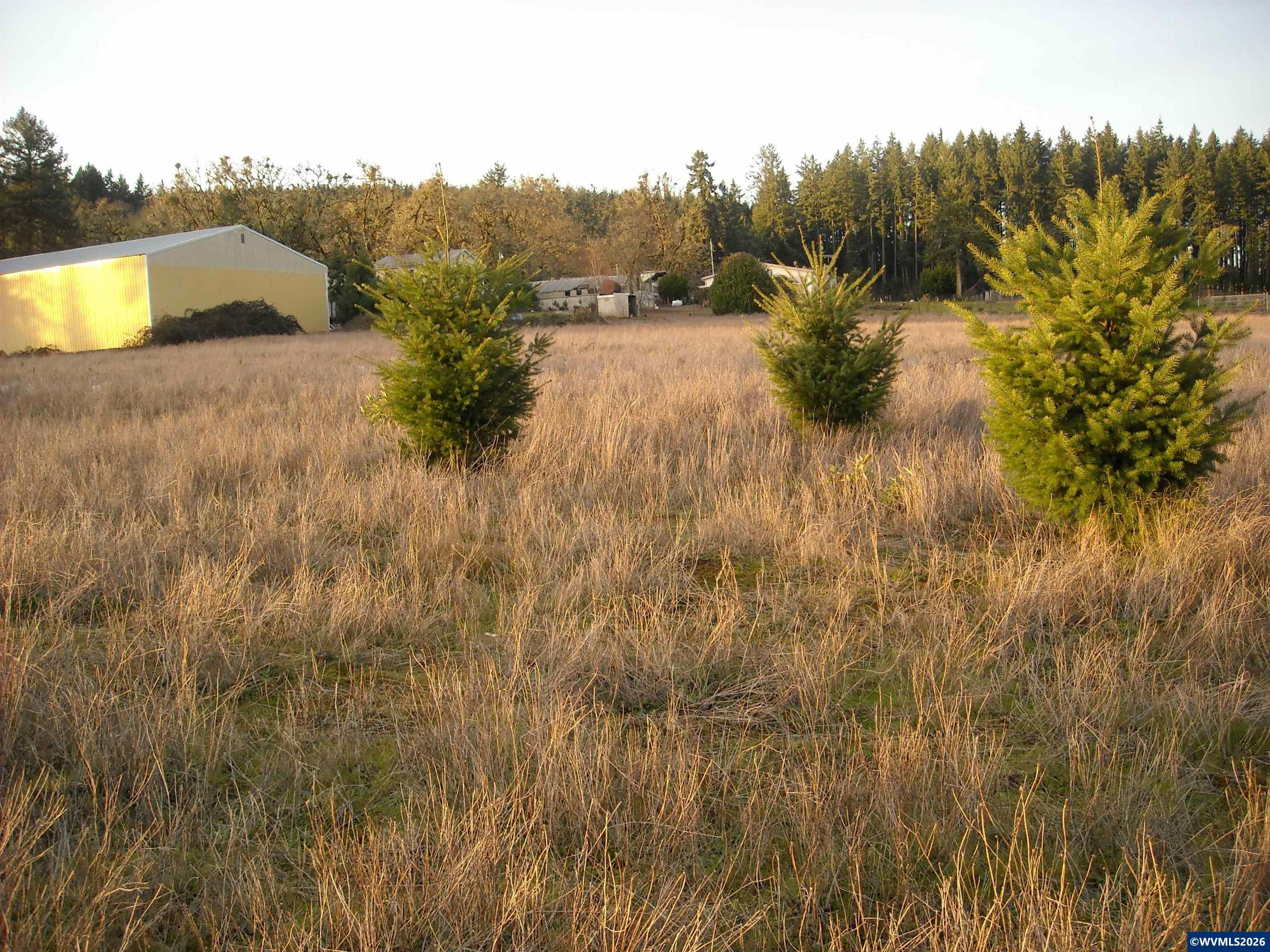 26191 Bruce Road Monroe, OR 97456 - Photo 16 of 27