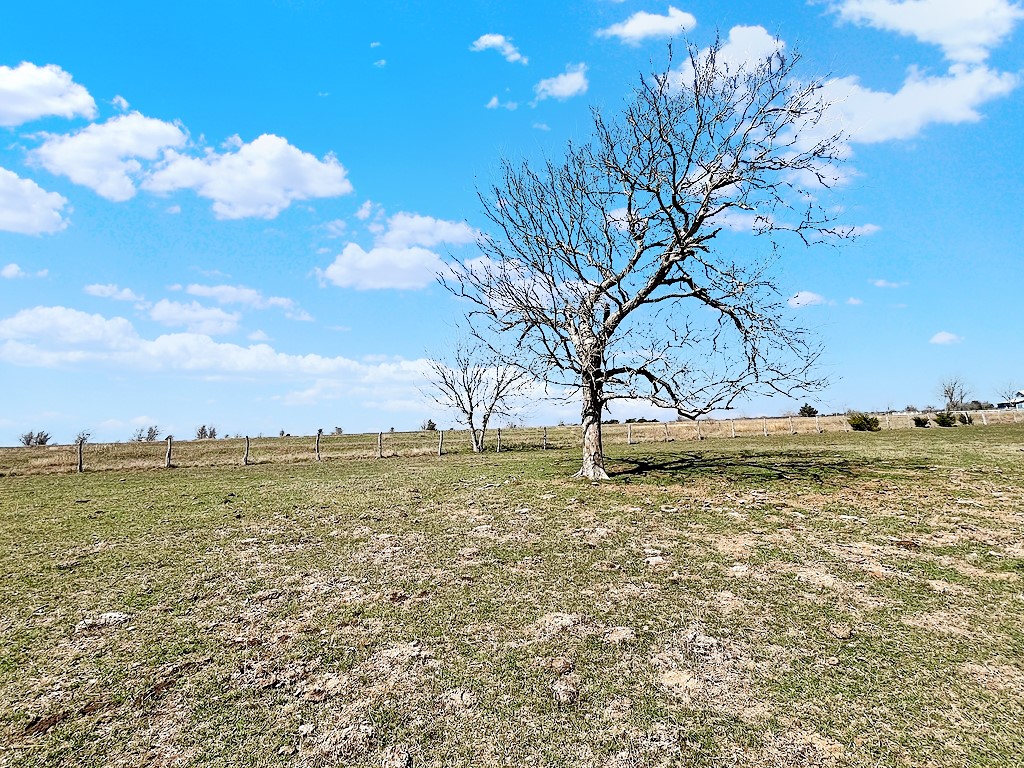 6446 Mensik Road Schulenburg, TX 78956 - Photo 11 of 18