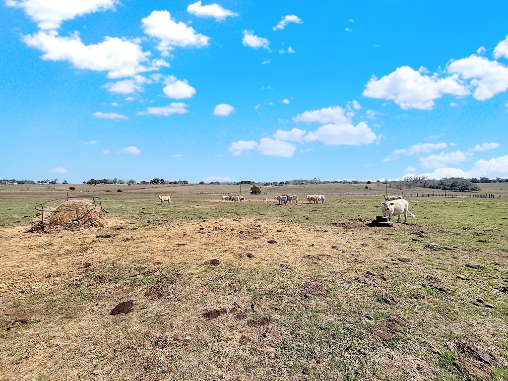 6446 Mensik Road Schulenburg, TX 78956 - Photo 16 of 17 a view of an ocean beach