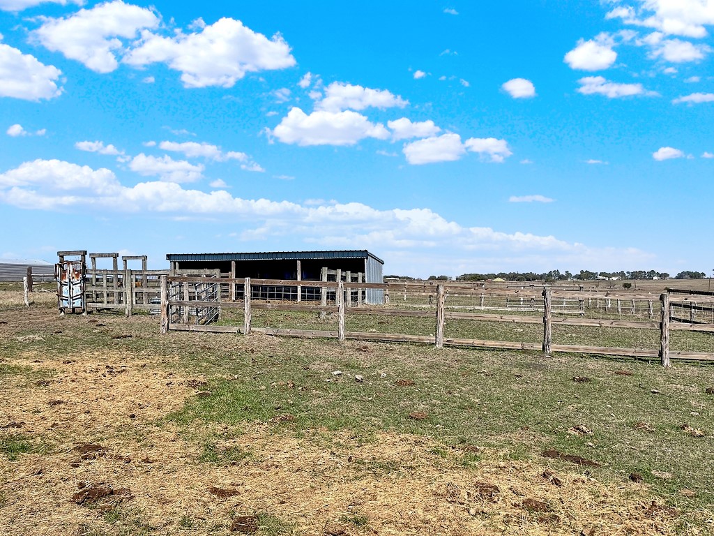 6446 Mensik Road Schulenburg, TX 78956 - Photo 3 of 18 a view of a backyard
