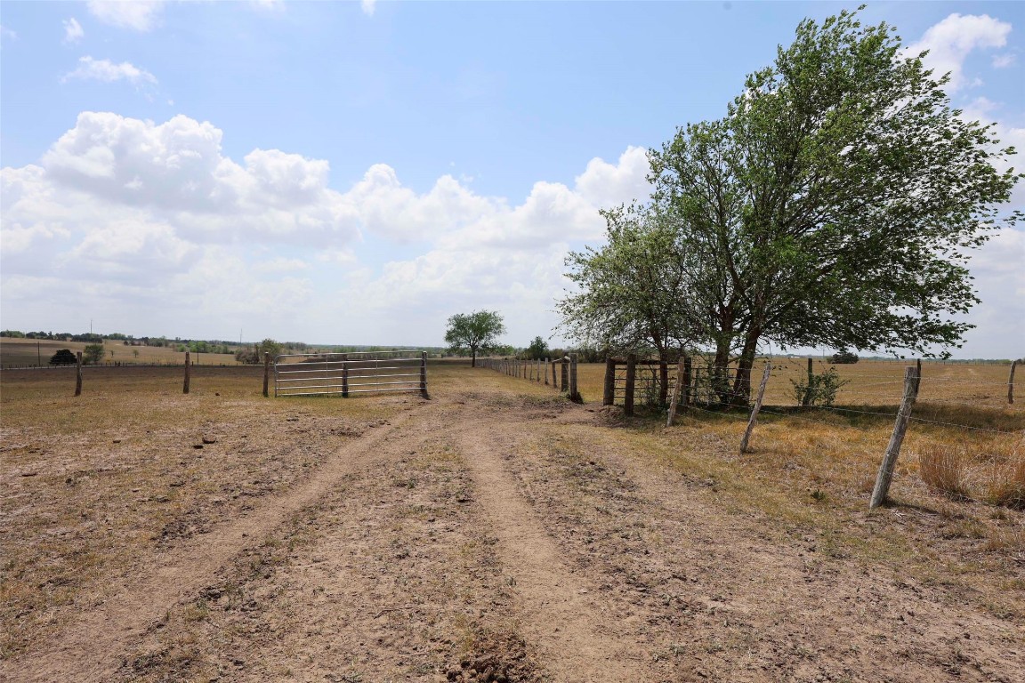 6446 Mensik Road Schulenburg, TX 78956 - Photo 9 of 17 a view of a backyard