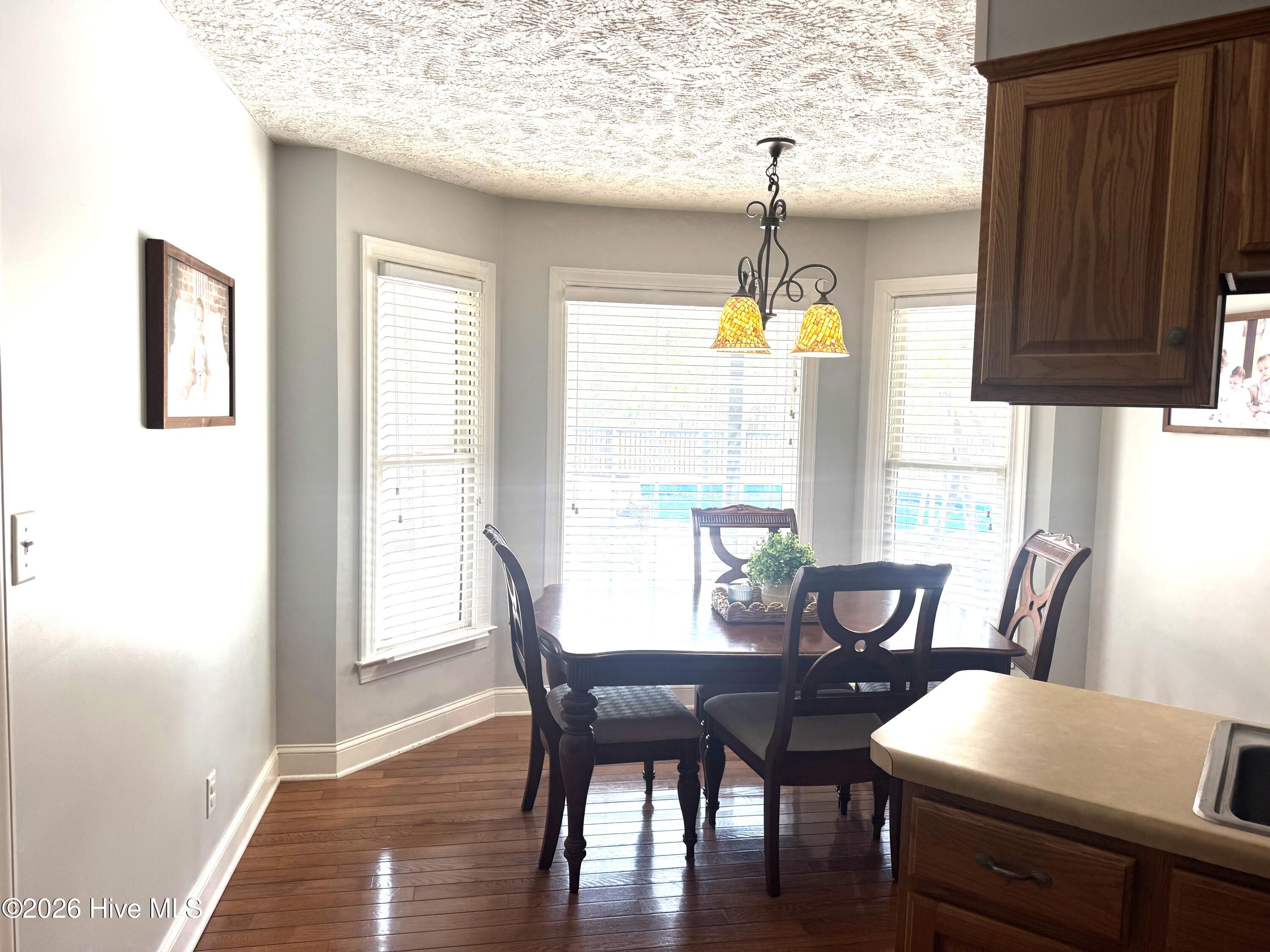 727 Mt Olive Road Bladenboro, NC 28320 - Photo 25 of 52