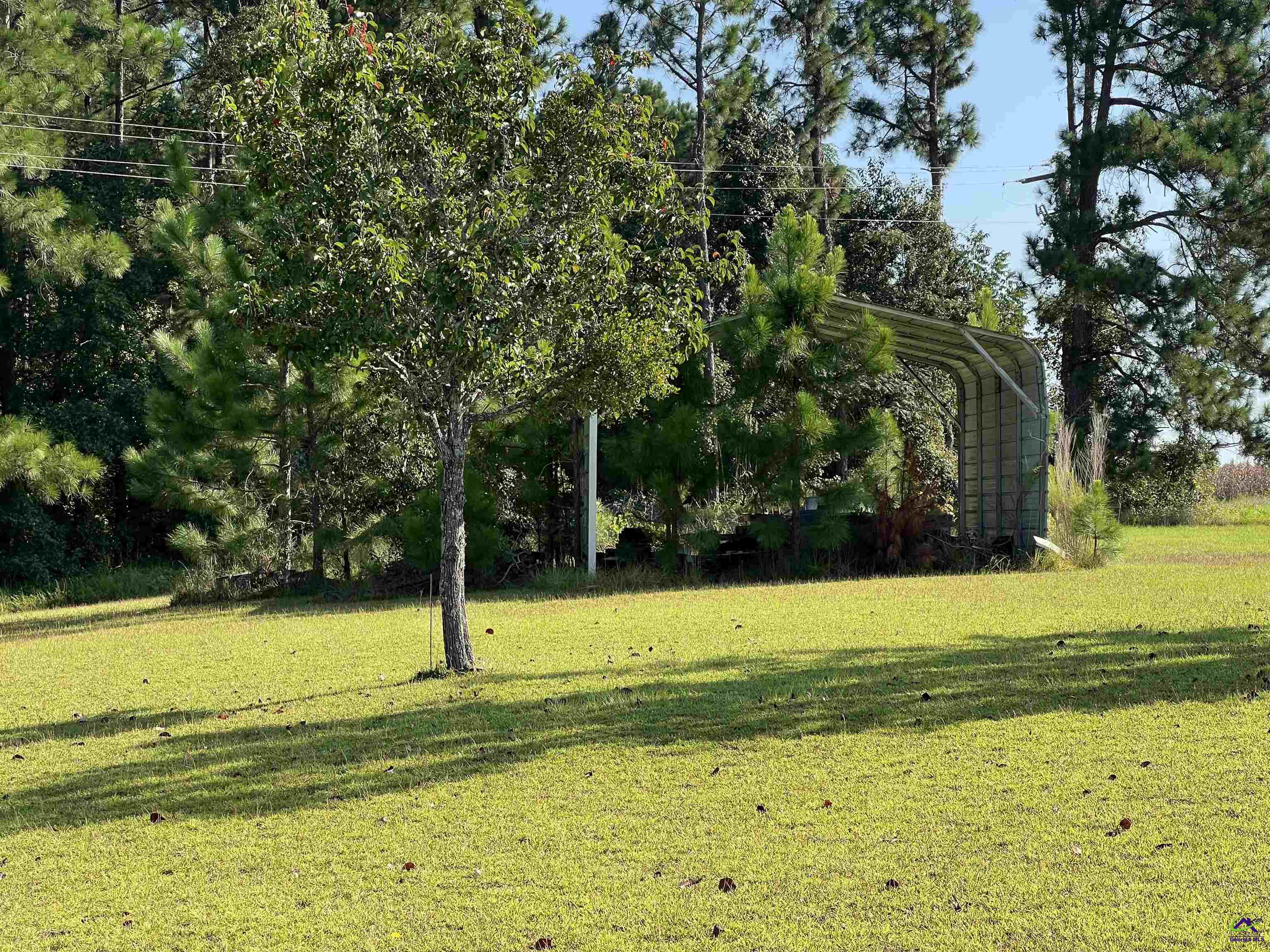 762 Nicholson-Carr Road Chester, GA 31012 - Photo 53 of 81 a view of a swimming pool and trees in the background